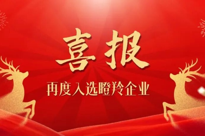 连续两年蝉联！恭喜NG28再度入选瞪羚企业名单！