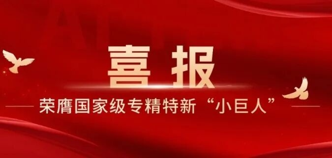 NG28荣膺国家级专精特新“小巨人”